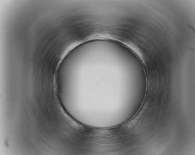 X0000096201382200801181021