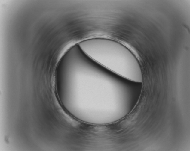 X0000096201383200801181021