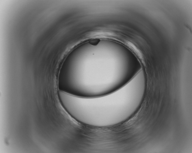 X0000096201384200801181021