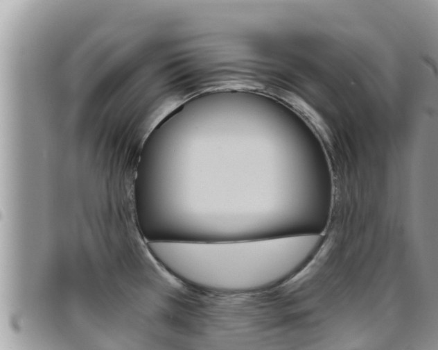X0000096201385200801181021