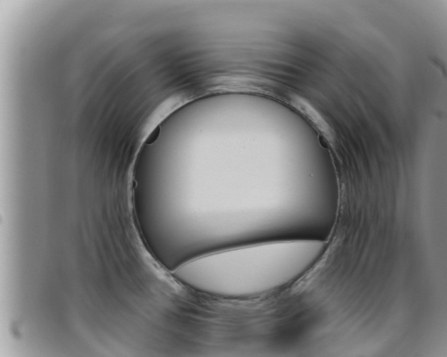 X0000096201386200801181021