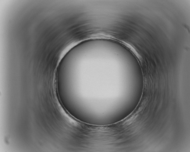 X0000096201387200801181021