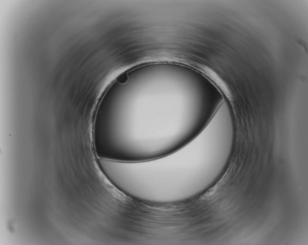 X0000096201388200801181021