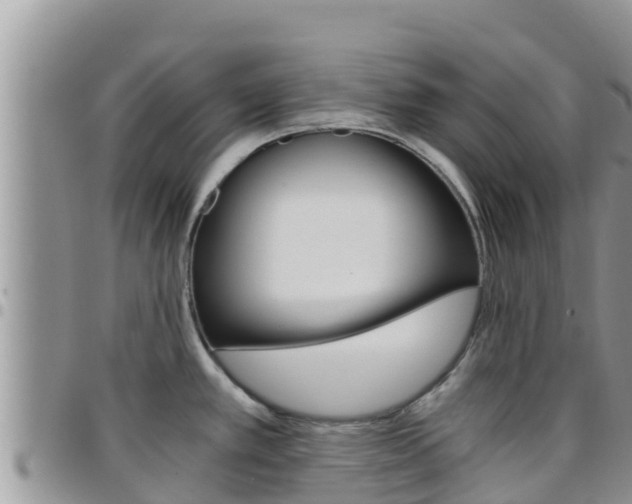 X0000096201389200801181021