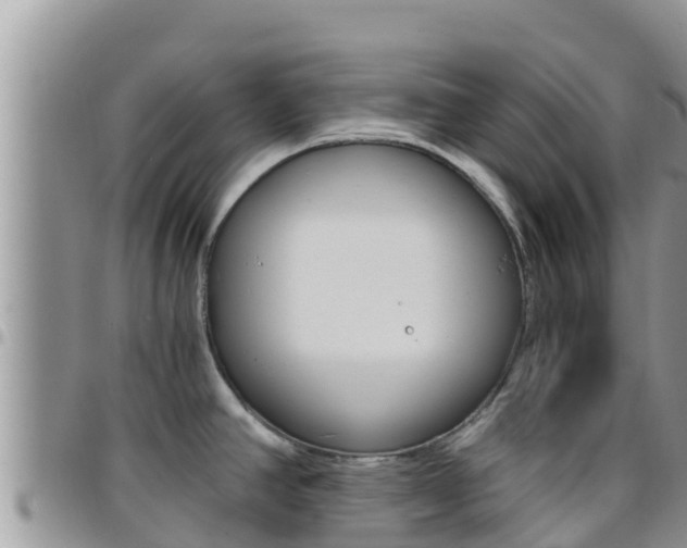 X0000096201390200801181021
