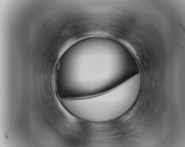 X0000096201391200801181021