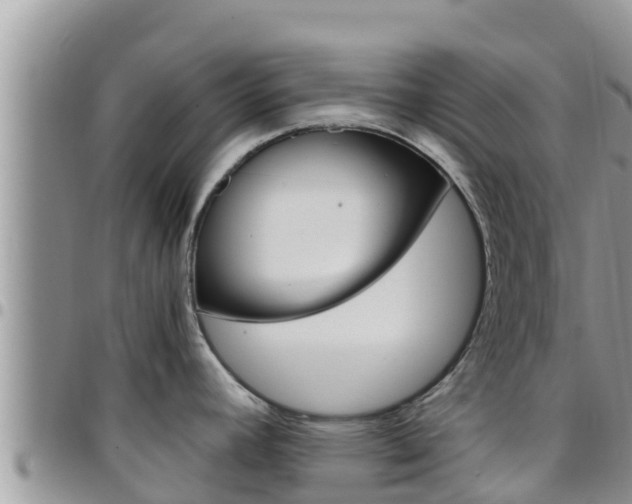 X0000096201392200801181021