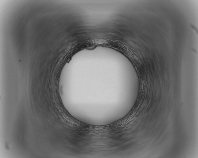 X0000096201393200801181020
