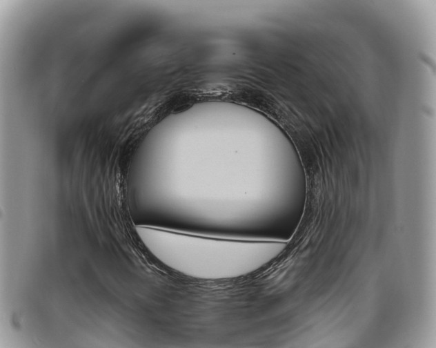 X0000096201394200801181020