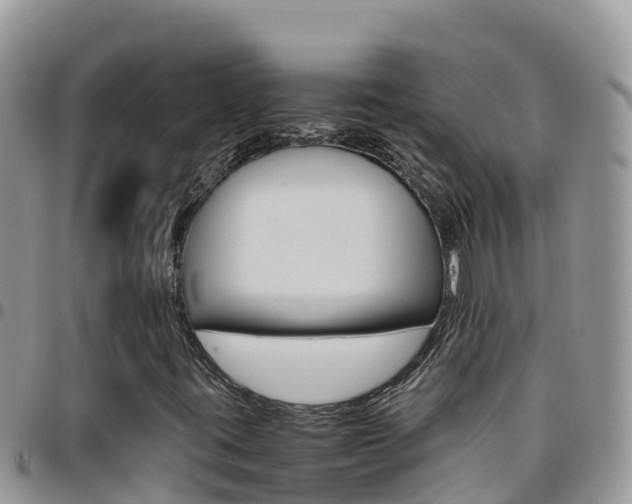 X0000096201395200801181020