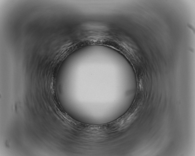 X0000096201396200801181020