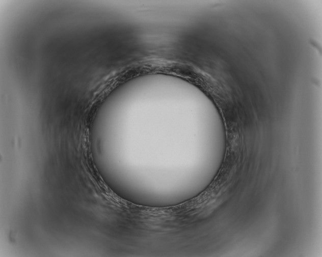 X0000096201397200801181020