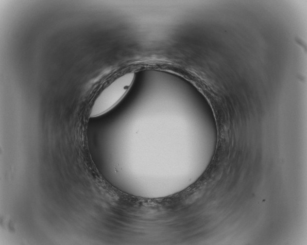 X0000096201398200801181020