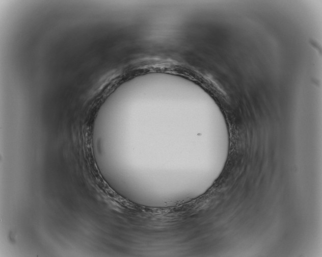 X0000096201399200801181020
