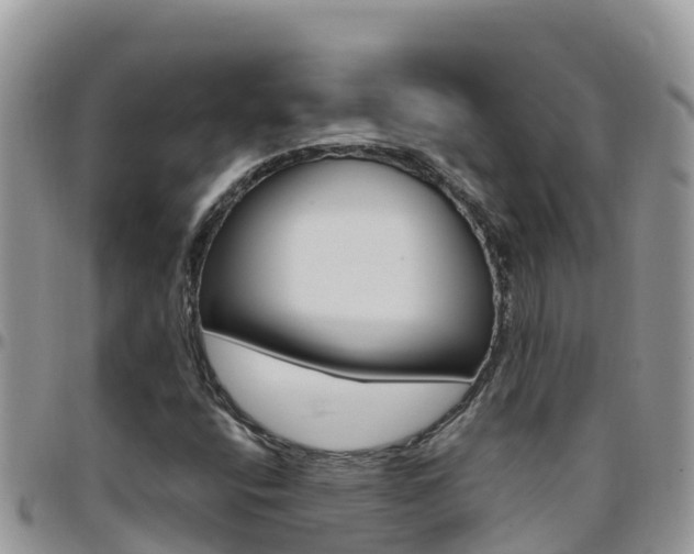X0000096201400200801181020