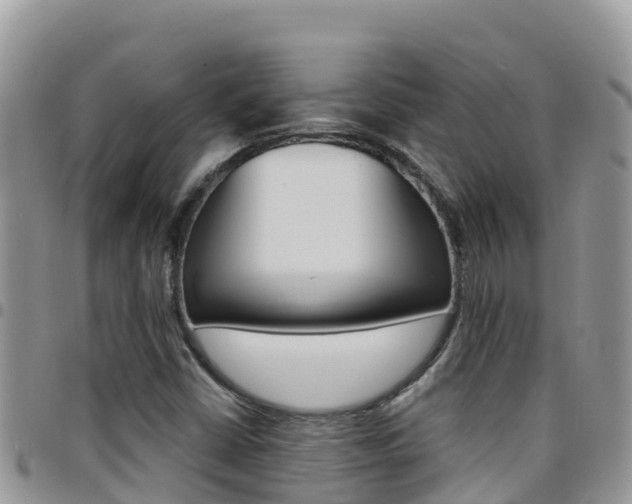 X0000096201402200801181021