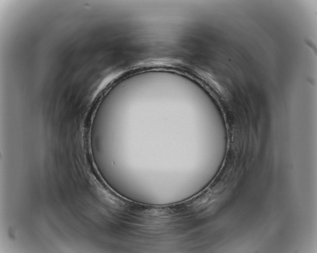 X0000096201404200801181021