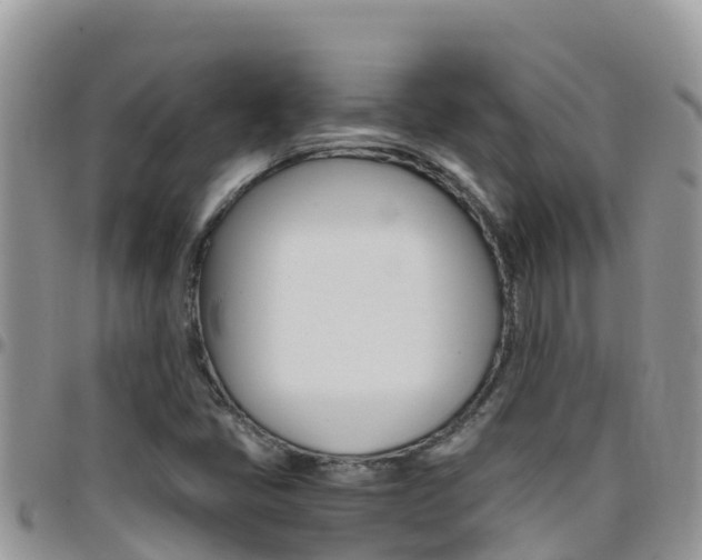 X0000096201405200801181021