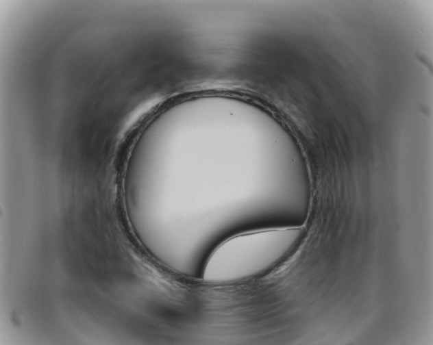 X0000096201406200801181021