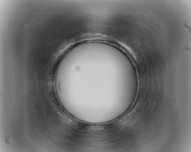 X0000096201407200801181021