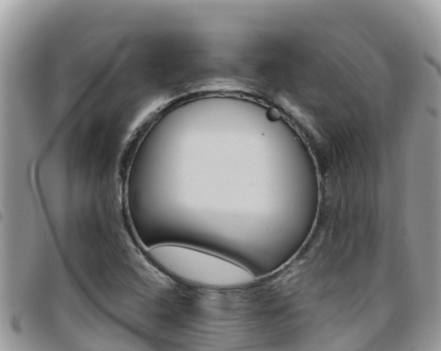X0000096201408200801181021