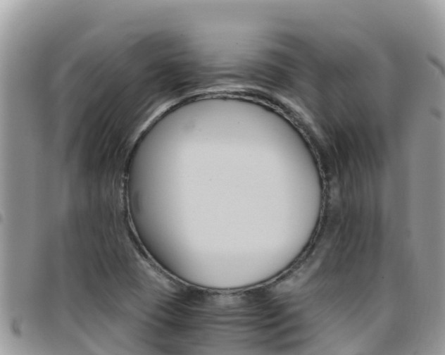 X0000096201409200801181021