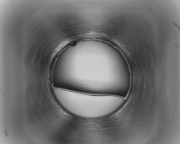 X0000096201410200801181021