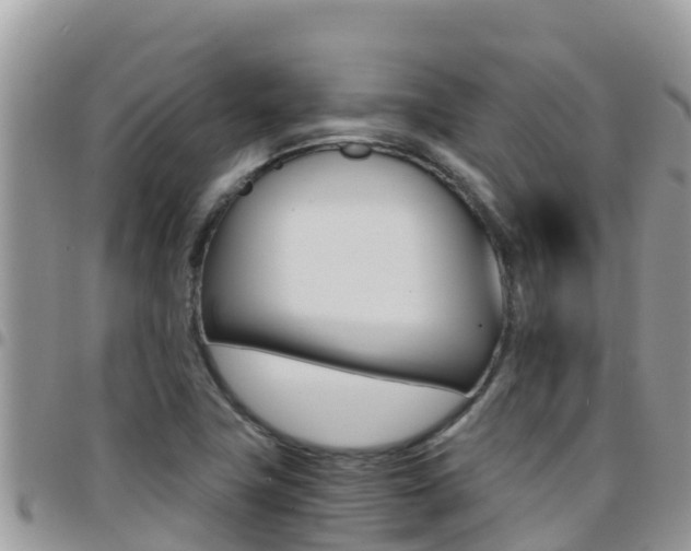 X0000096201411200801181021