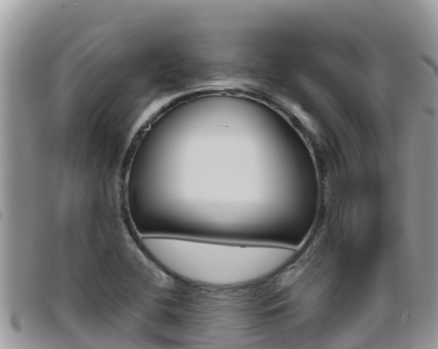 X0000096201412200801181021