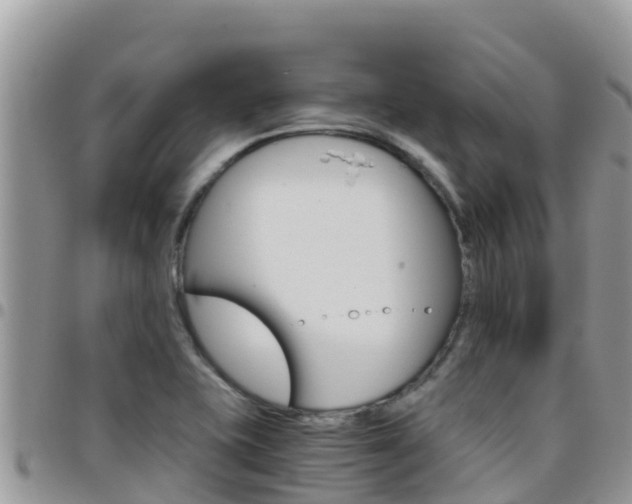 X0000096201415200801181021