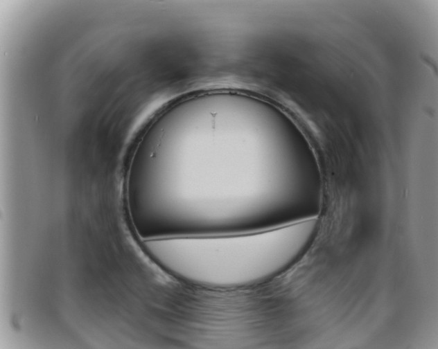 X0000096201416200801181021