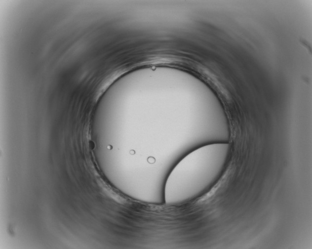 X0000096201417200801181021