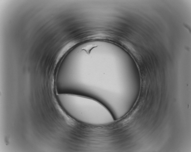 X0000096201418200801181021