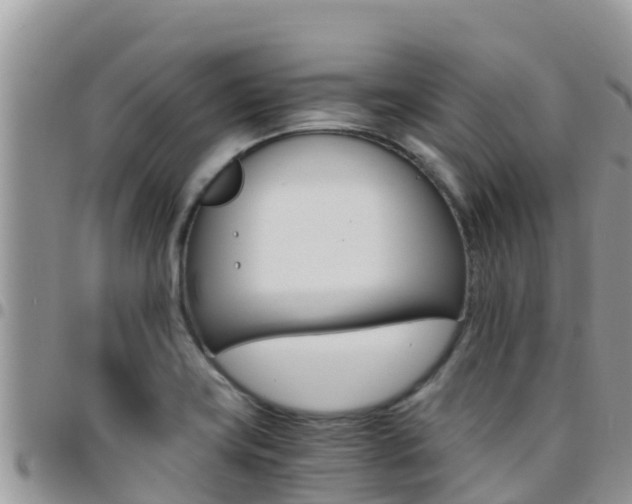 X0000096201419200801181021