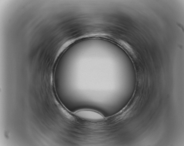 X0000096201420200801181021