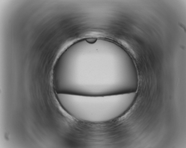 X0000096201421200801181021