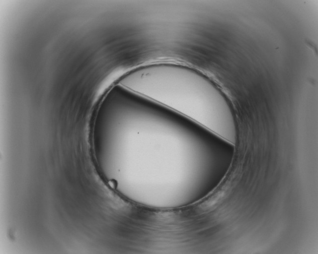X0000096201422200801181021
