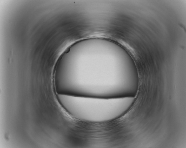 X0000096201423200801181021