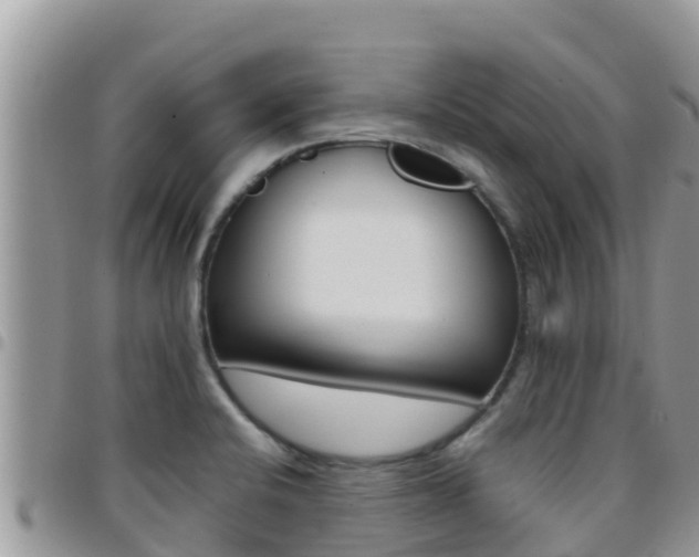 X0000096201424200801181021