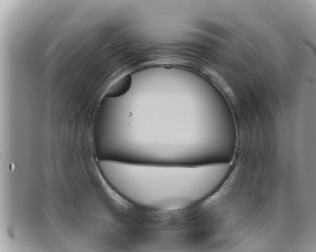 X0000096201425200801181021