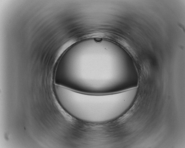 X0000096201426200801181021