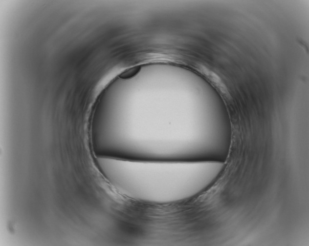 X0000096201427200801181021