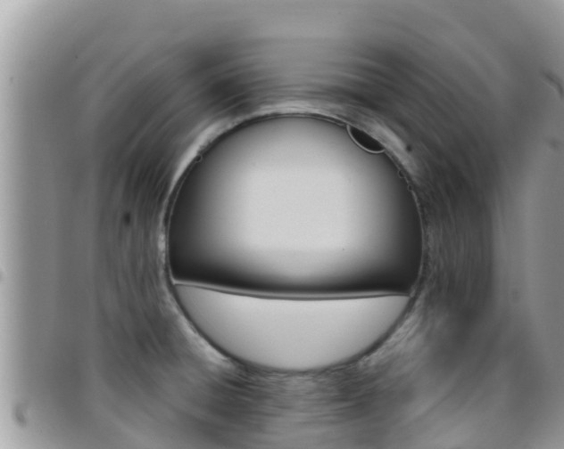 X0000096201428200801181021