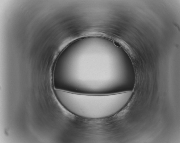 X0000096201430200801181021