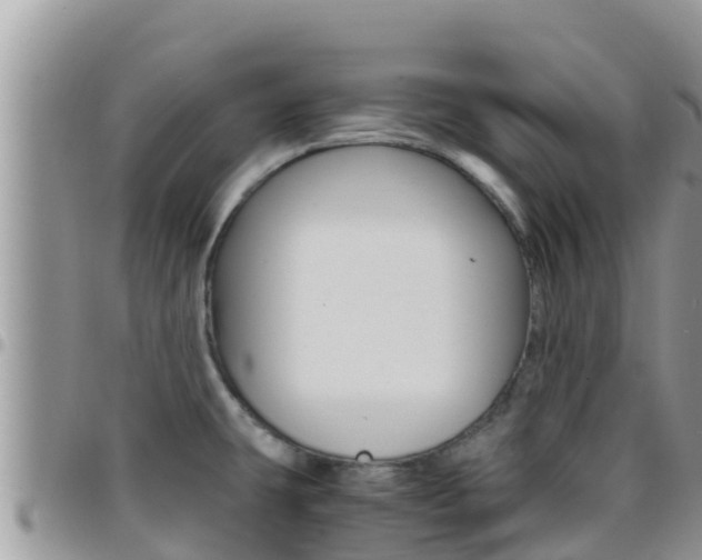 X0000096201431200801181021
