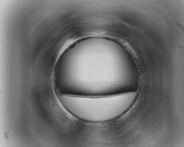 X0000096201432200801181021