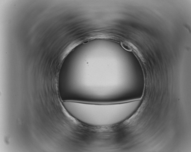 X0000096201433200801181021