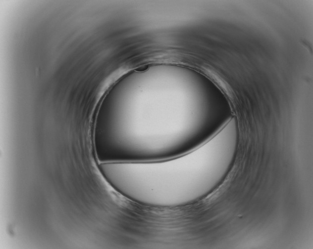 X0000096201434200801181021