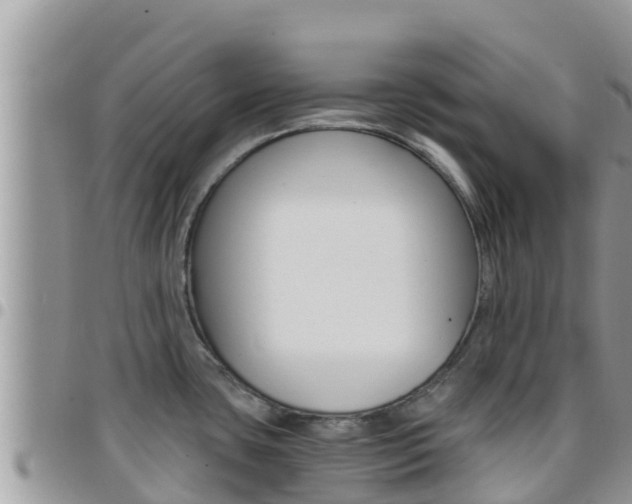 X0000096201435200801181021