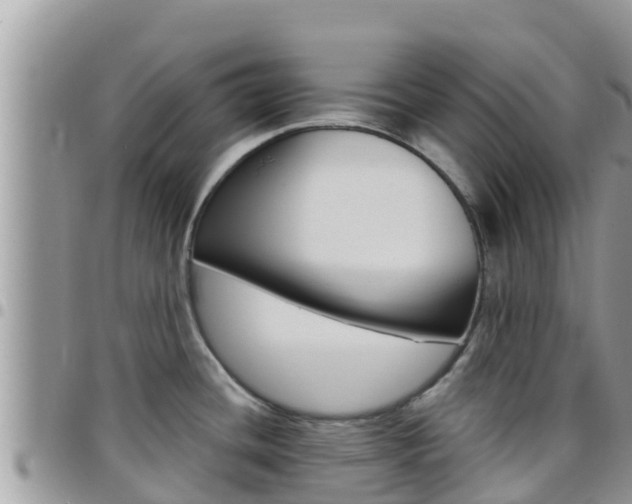 X0000096201436200801181021